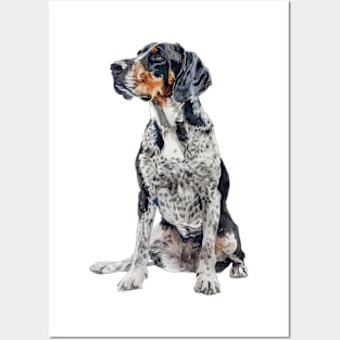 Bluetick Coonhound Posters and Art